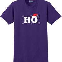 HO 3- Christmas Day T-Shirt -12 color choices