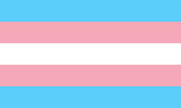 
              TRANSGENDER PRIDE FLAG, STICKER, DECAL, 5 YR VINYL, LGBTQ PRIDE FLAG, TS
            