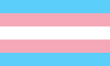 TRANSGENDER PRIDE FLAG, STICKER, DECAL, 5 YR VINYL, LGBTQ PRIDE FLAG, TS
