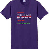 Dear santa I've been good all year- Christmas Day T-Shirt -12 color choices