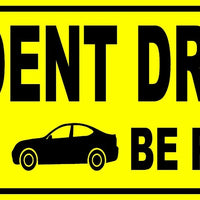Student Driver Please Be Patient Car Bumper STICKER Decal 3"X9"