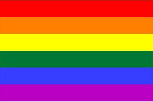 LGBT Gay Pride Rainbow Flag Car Decal / Sticker 5yr