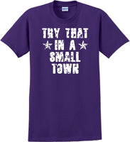 
              Try That in a Small Town T-Shirt Distressed  Country Music Gift
            