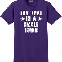 Try That in a Small Town T-Shirt Distressed  Country Music Gift