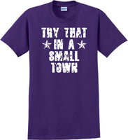 
              Try That in a Small Town T-Shirt Distressed  Country Music Gift
            