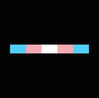 
              1"x9" TRANSGENDER PRIDE FLAG, STICKER, DECAL, 5 YR VINYL, LGBTQ PRIDE FLAG, cs
            