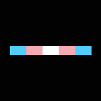 1"x9" TRANSGENDER PRIDE FLAG, STICKER, DECAL, 5 YR VINYL, LGBTQ PRIDE FLAG, cs