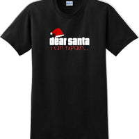 Dear Santa I can explain - Christmas Day T-Shirt -12 color choices