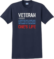 
              VETERAN NOUN, ONES LIFE, Veterans day Soldier USA Support T-Shirt
            
