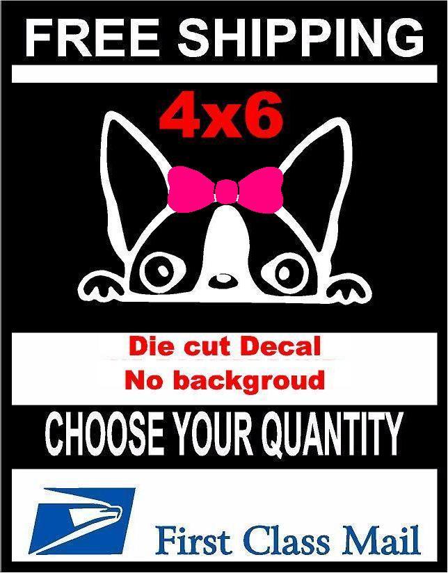 Peeking Dog Girl Boston Terrier,Vinyl Decal Sticker Car/Laptop/ Window White 6yr