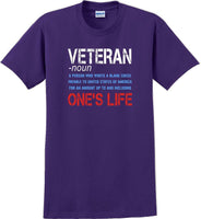 
              VETERAN NOUN, ONES LIFE, Veterans day Soldier USA Support T-Shirt
            
