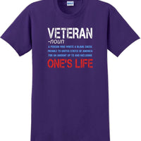 VETERAN NOUN, ONES LIFE, Veterans day Soldier USA Support T-Shirt