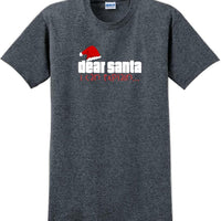 Dear Santa I can explain - Christmas Day T-Shirt -12 color choices