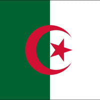 Algeria COUNTRY FLAG, STICKER, DECAL, 5YR VINYL, country Flag of Algeria