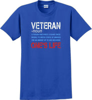 
              VETERAN NOUN, ONES LIFE, Veterans day Soldier USA Support T-Shirt
            