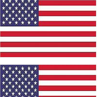 Custom flags 3.5"X5" RIGHT