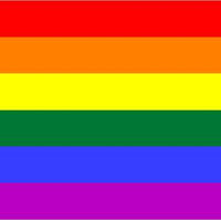 LGBT Gay Pride Rainbow Flag Car Decal / Sticker 5yr