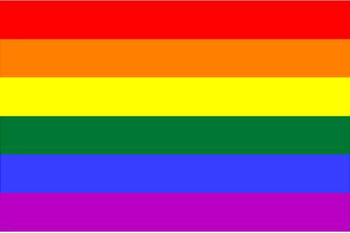 LGBT Gay Pride Rainbow Flag Car Decal / Sticker 5yr