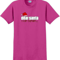 Dear Santa I can explain - Christmas Day T-Shirt -12 color choices