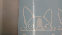 
              Peeking Dog Boston Terrier,Vinyl Decal Sticker Car/Laptop/ Window, White 6yr
            
