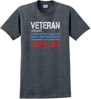 
              VETERAN NOUN, ONES LIFE, Veterans day Soldier USA Support T-Shirt
            