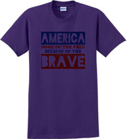 
              HOME OF THE FREE, BECAUSE OF BRAVE Veterans day Soldier USA Support T-Shirt
            
