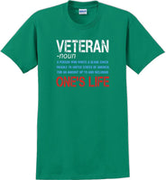 
              VETERAN NOUN, ONES LIFE, Veterans day Soldier USA Support T-Shirt
            