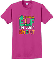
              I'm not and Elf I'm just short - Christmas Day T-Shirt -12 color choices
            
