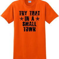 Try That in a Small Town T-Shirt Distressed  Country Music Gift