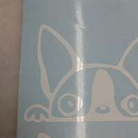 Peeking Dog Boston Terrier,Vinyl Decal Sticker Car/Laptop/ Window, White 6yr