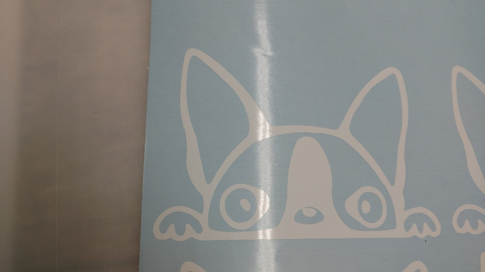 Peeking Dog Boston Terrier,Vinyl Decal Sticker Car/Laptop/ Window, White 6yr