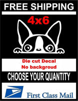 
              Peeking Dog Boston Terrier,Vinyl Decal Sticker Car/Laptop/ Window, White 6yr
            