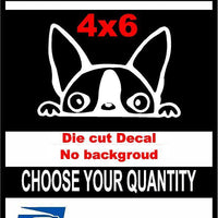 Peeking Dog Boston Terrier,Vinyl Decal Sticker Car/Laptop/ Window, White 6yr