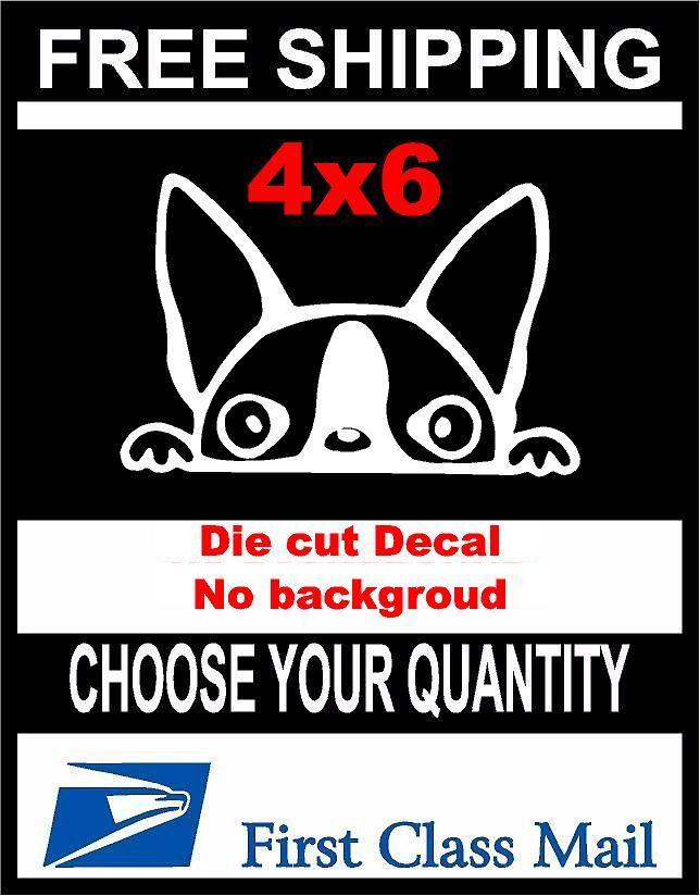 Peeking Dog Boston Terrier,Vinyl Decal Sticker Car/Laptop/ Window, White 6yr