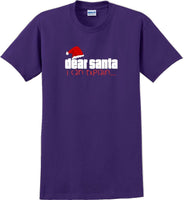
              Dear Santa I can explain - Christmas Day T-Shirt -12 color choices
            