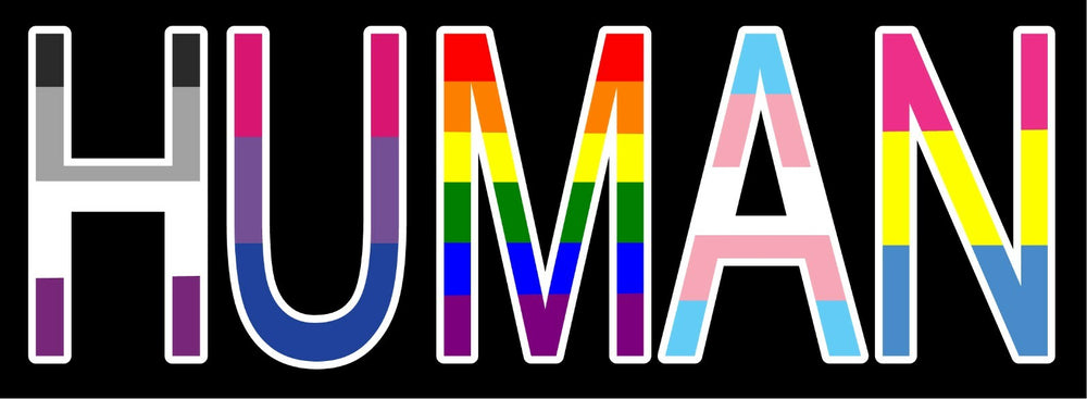 HUMAN - PRIDE DECAL, 5YR VINYL,  JC