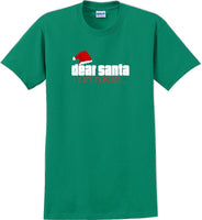 
              Dear Santa I can explain - Christmas Day T-Shirt -12 color choices
            