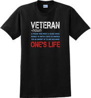 
              VETERAN NOUN, ONES LIFE, Veterans day Soldier USA Support T-Shirt
            
