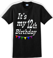 
              It's my 12th Birthday Shirt  - Adult B-Day T-Shirt - JC
            