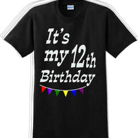 It's my 12th Birthday Shirt  - Adult B-Day T-Shirt - JC