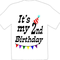 It's my 2nd Birthday Shirt - Youth B-Day T-Shirt - 12 Color Choices - JC