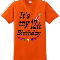 It's my 12th Birthday Shirt  - Adult B-Day T-Shirt - JC