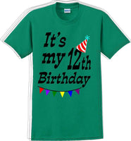 
              It's my 12th Birthday Shirt  - Adult B-Day T-Shirt - JC
            