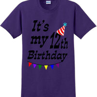 It's my 12th Birthday Shirt  - Adult B-Day T-Shirt - JC