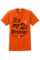 
              It's my 12th Birthday Shirt  - Adult B-Day T-Shirt - JC
            