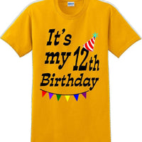 It's my 12th Birthday Shirt  - Adult B-Day T-Shirt - JC