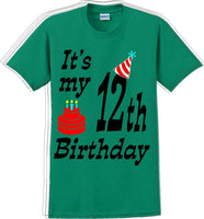 
              It's my 12th Birthday Shirt with Birthday cake design - Adult B-Day T-Shirt - JC
            