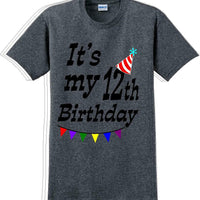 It's my 12th Birthday Shirt  - Adult B-Day T-Shirt - JC