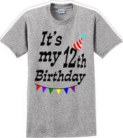 
              It's my 12th Birthday Shirt  - Adult B-Day T-Shirt - JC
            