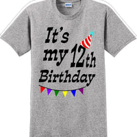 It's my 12th Birthday Shirt  - Adult B-Day T-Shirt - JC